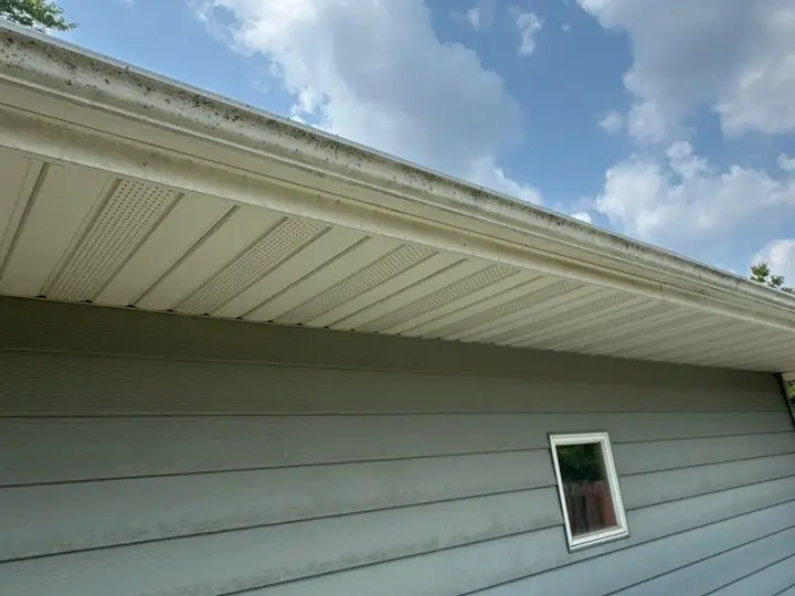 Existing soffit panels and gutter above exterior siding